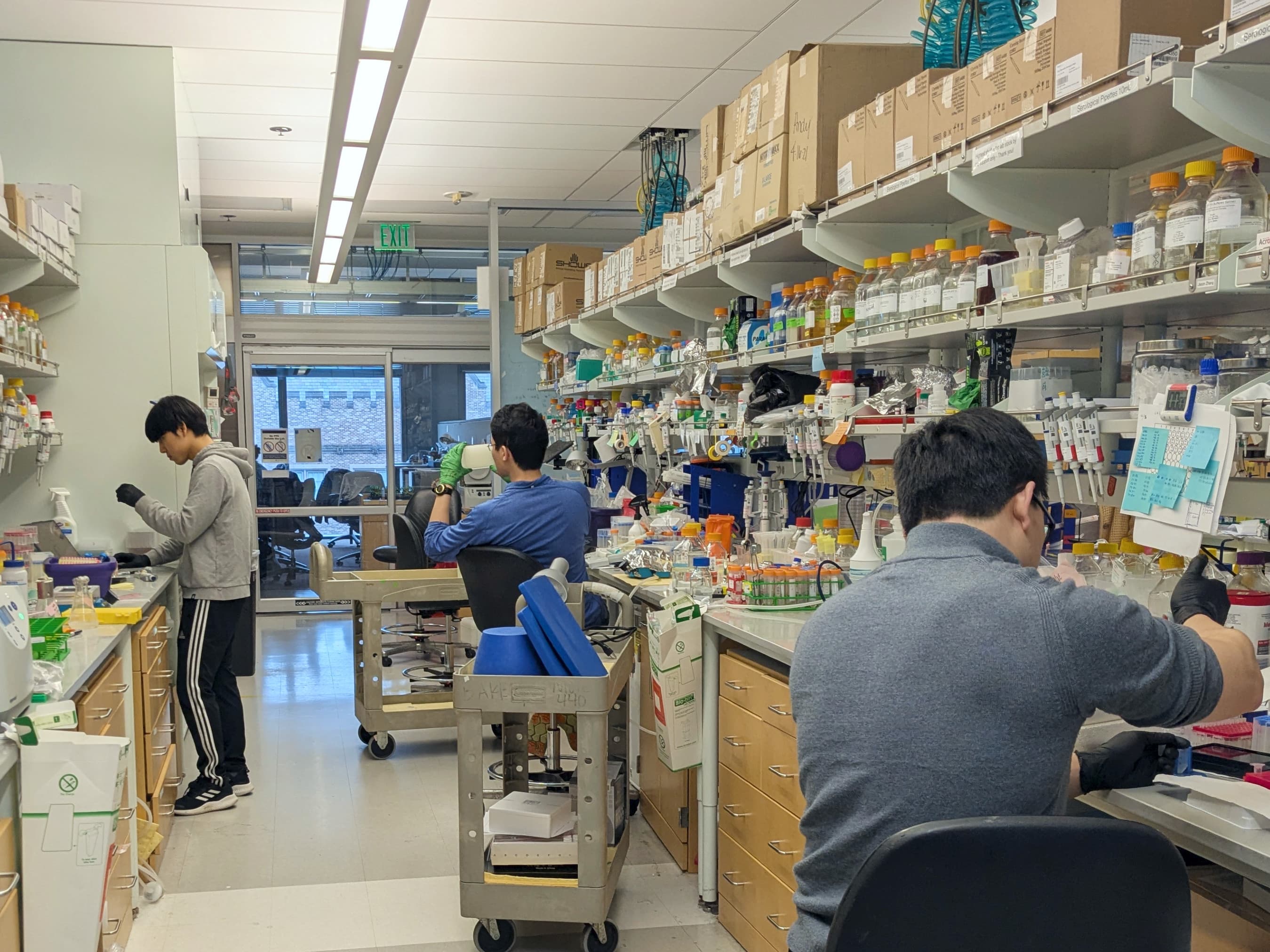 From computer to lab to market: Nobel winner David Baker lands $7M for new protein program